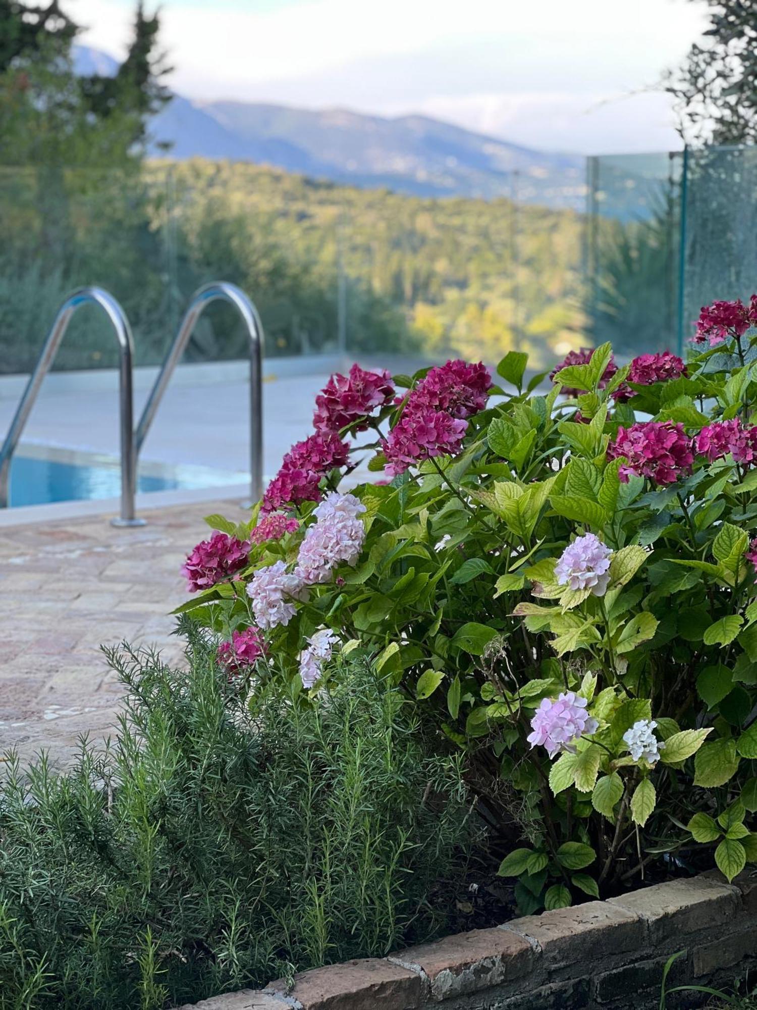 Villa Fioraki Pouládes Eksteriør billede
